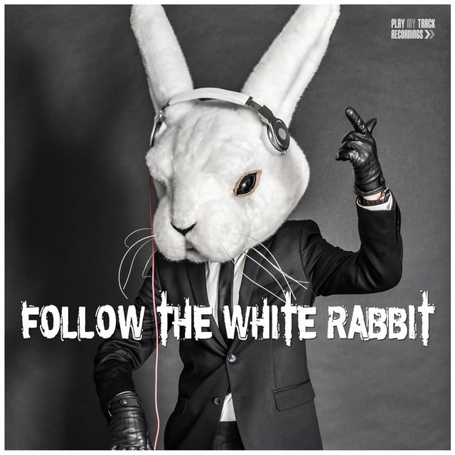 Image of Follow the White Rabbit