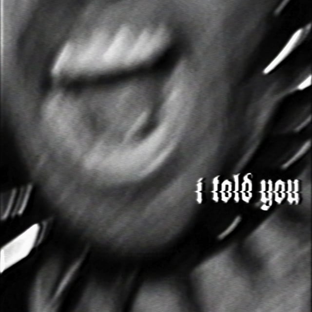 Image of I Told You