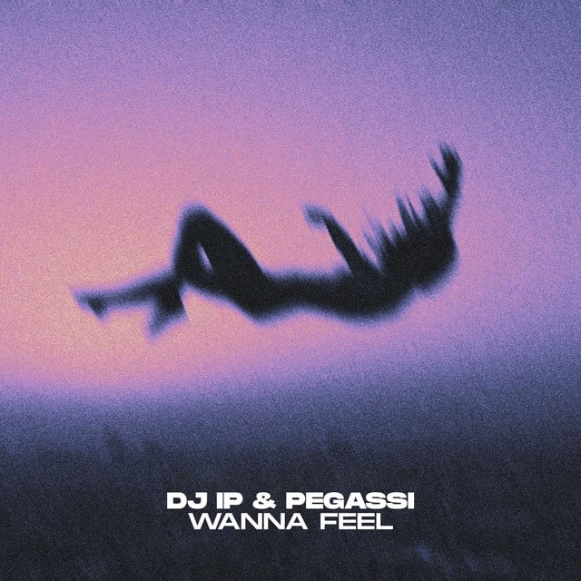 Image of Wanna Feel