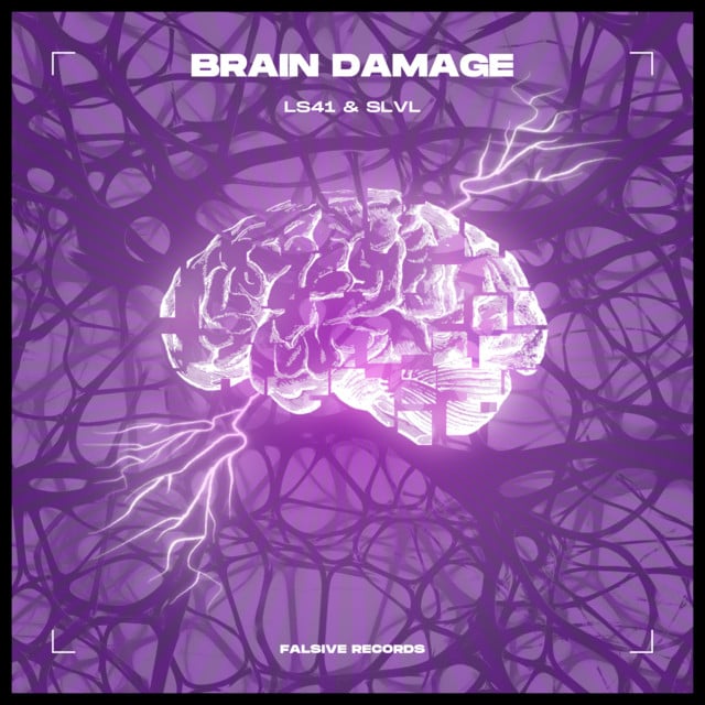 Image of Brain Damage