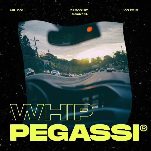 Image of Whip