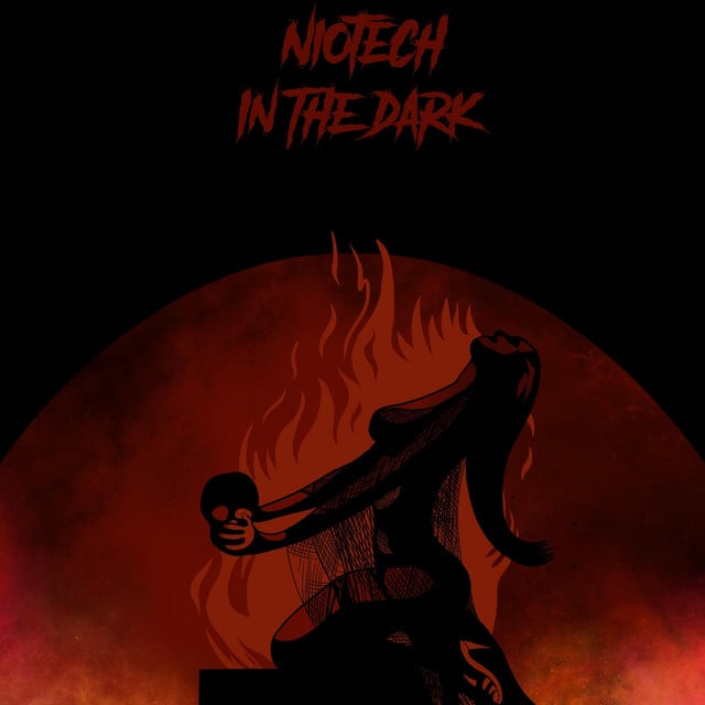 Image of In The Dark