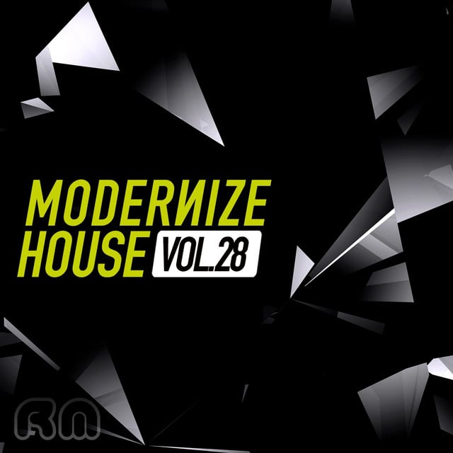Image of Modernize House, Vol. 28