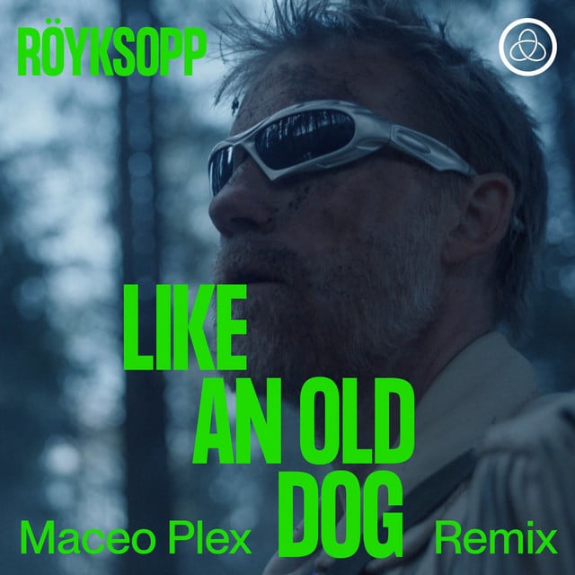 Image of Like An Old Dog (Maceo Plex Remix)