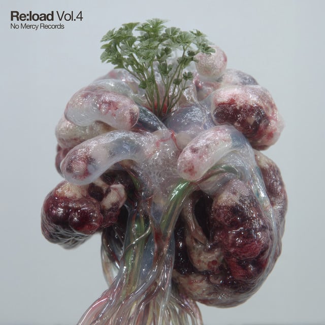Image of Re:load, Vol. 4