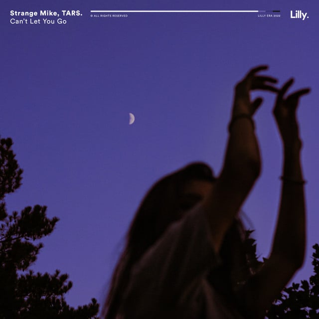 Image of Can't Let You Go