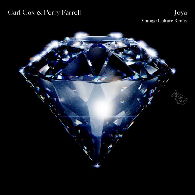 Image of Joya - Vintage Culture Remix - Radio