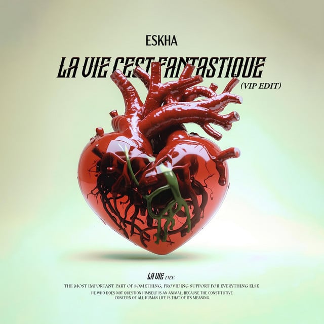 Image of La Vie C'est Fantastique (VIP ÉDIT)