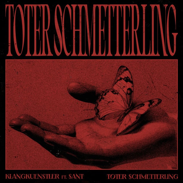 Image of Toter Schmetterling