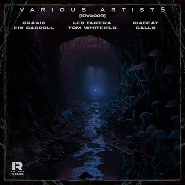 Image of INFLUENCE VARIOUS ARTISTS 009