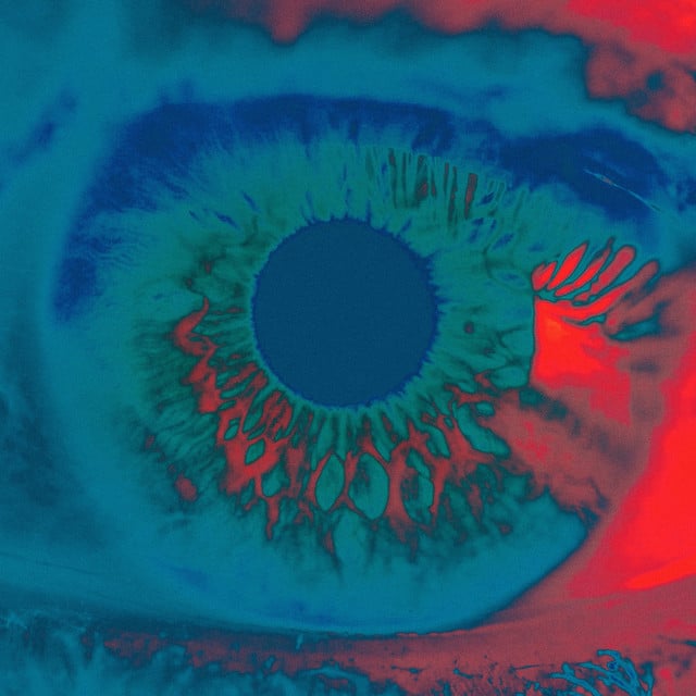 Image of Shadow (Remixes)