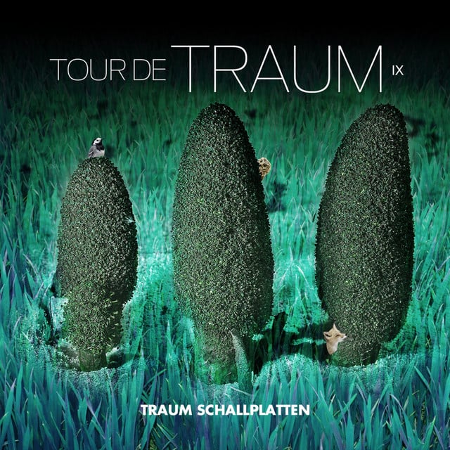 Image of Tour De Traum IX Mixed by Riley Reinhold