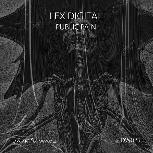 Image of Public Pain