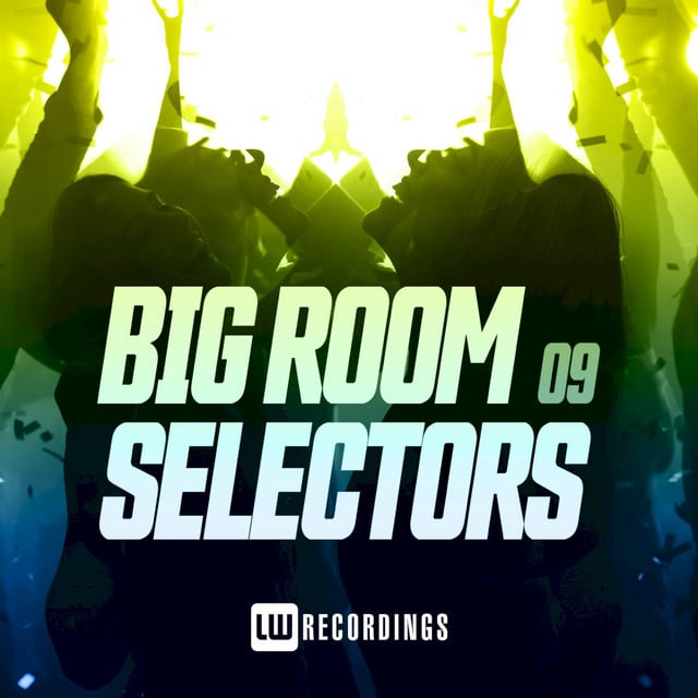 Image of Big Room Selectors, 09