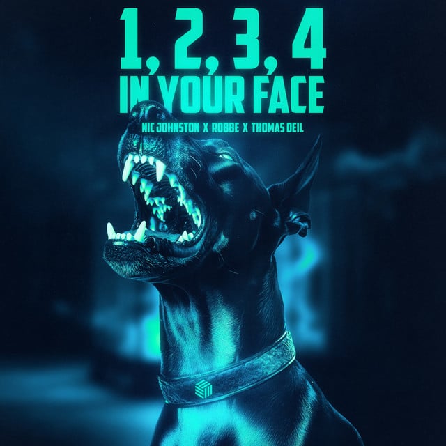 Image of 1, 2, 3, 4 (In Your Face)
