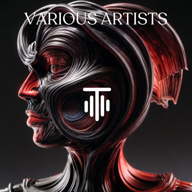 Image of TMT Various Artists 2