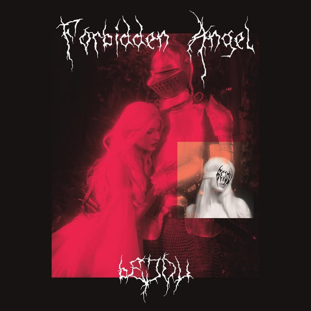 Image of Forbidden Angel