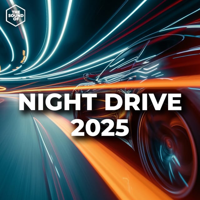 Image of Night Drive 2025