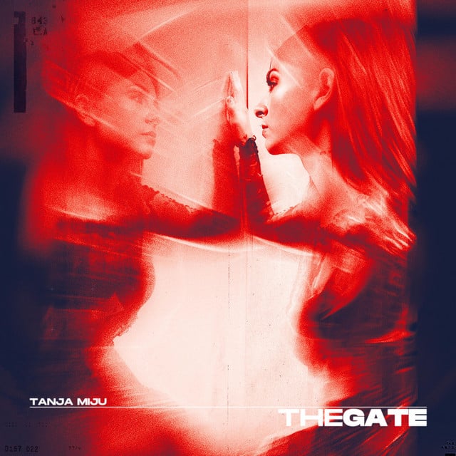 Image of Gate