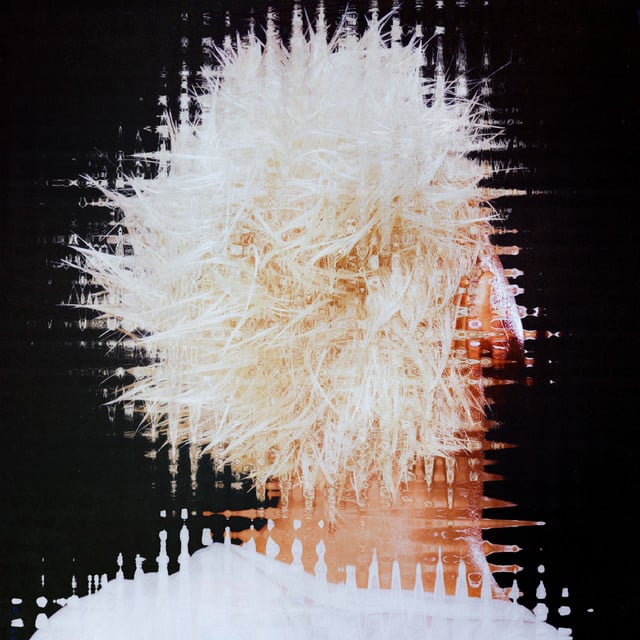 Image of Whole Again 2.0 (with FOVOS)