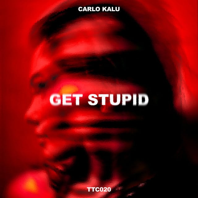 Image of Get Stupid