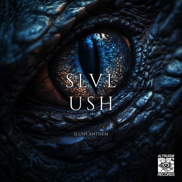 Image of SLUSH ANTHEM