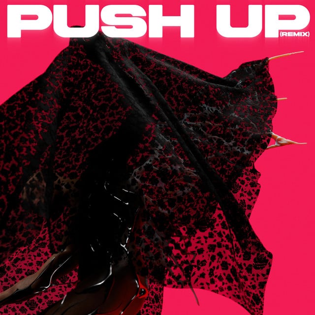 Image of Push Up (Remix)
