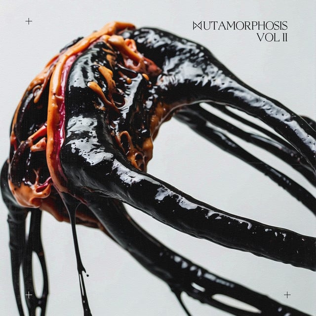 Image of MUTAMORPHOSIS, Vol. 2