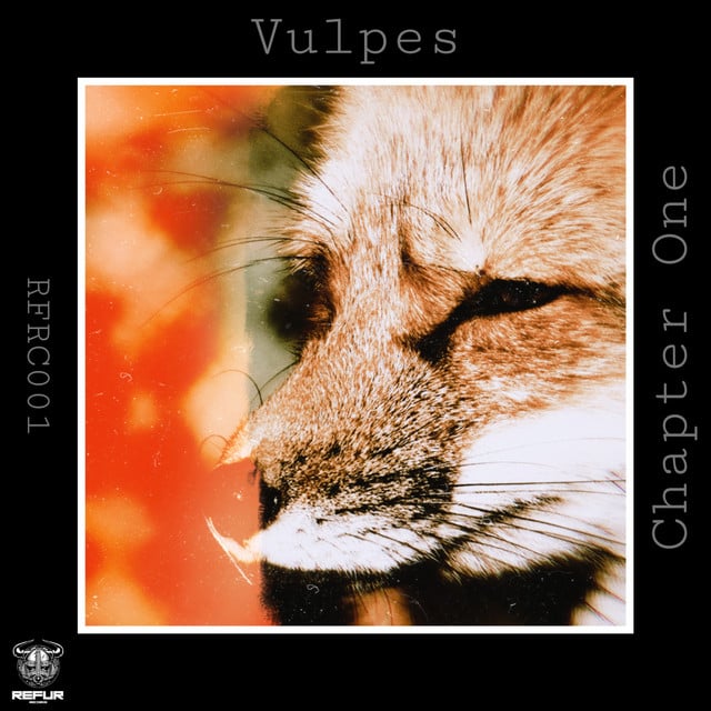 Image of Vulpes Chapter One
