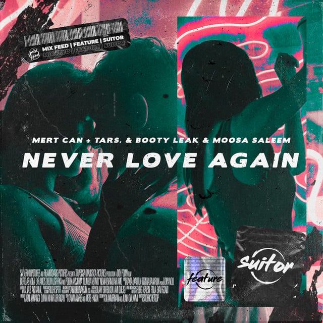 Image of Never Love Again