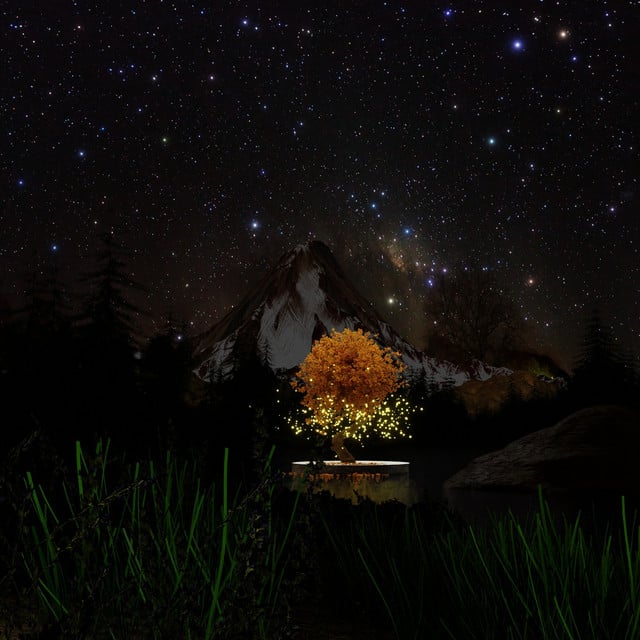 Image of I Told The Stars About You