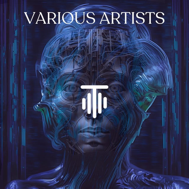 Image of TMT Various Artists 4