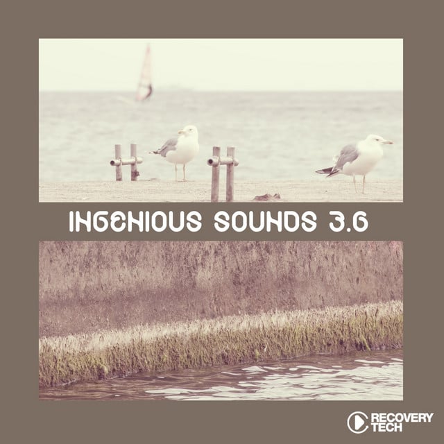 Image of Ingenious Sounds, Vol. 3.6