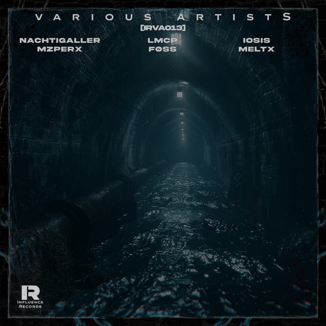 Image of INFLUENCE VARIOUS ARTISTS 013