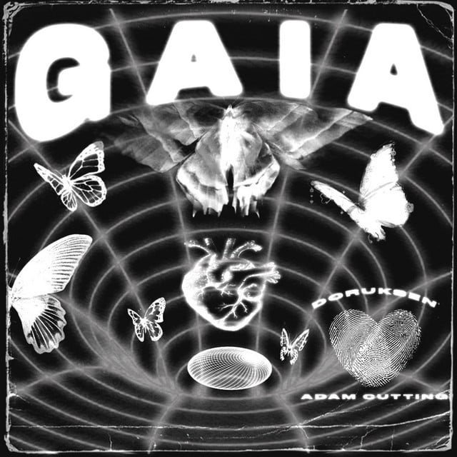 Image of GAIA