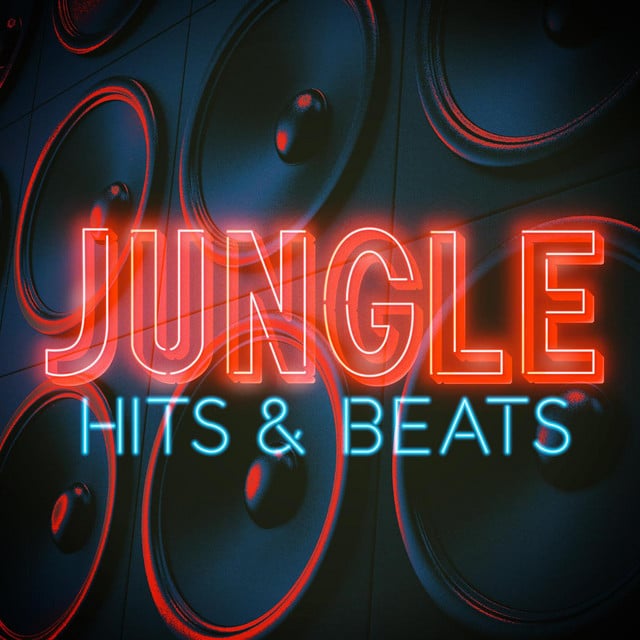 Image of Jungle - Hits & Beats