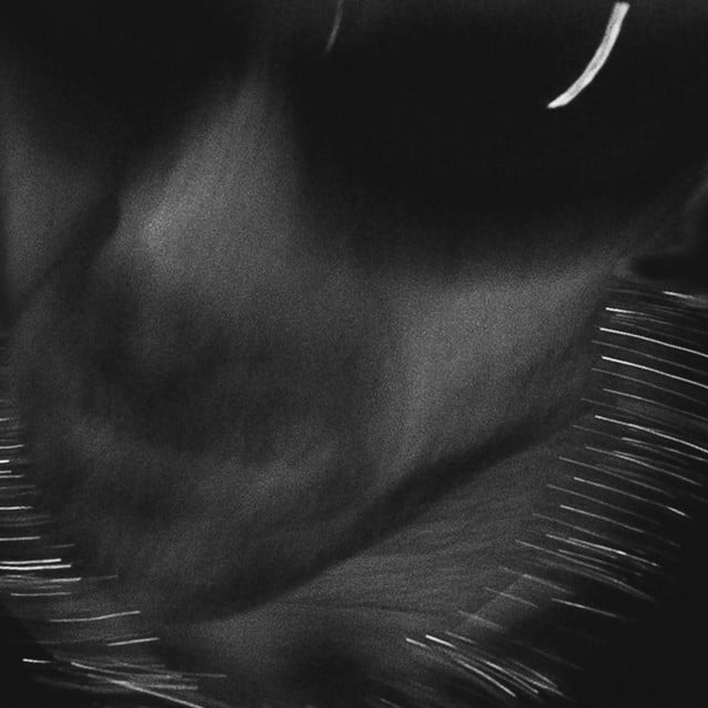 Image of Enter The Noize