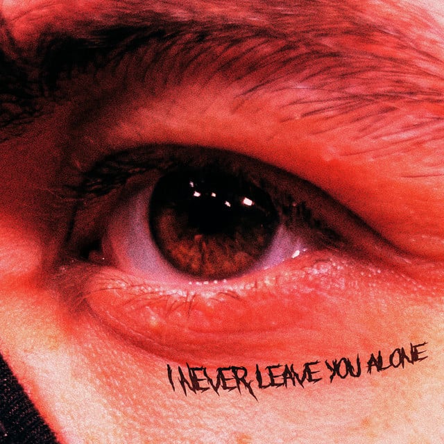 Image of I NEVER LEAVE YOU ALONE
