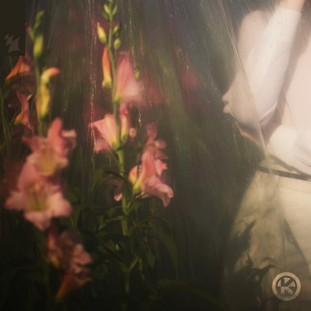 Image of Back To My Love