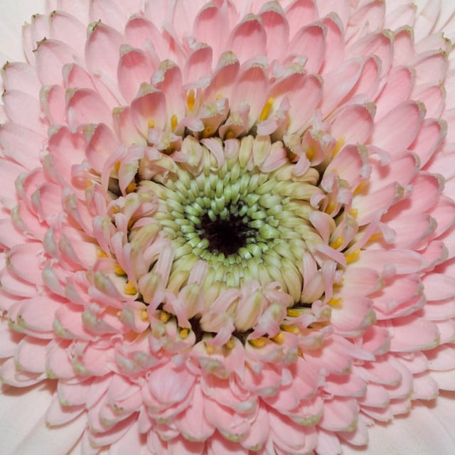 Image of Here For You