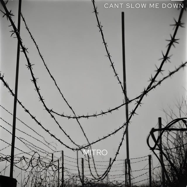 Image of Cant Slow Me Down