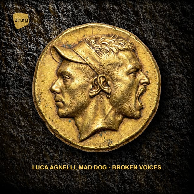Image of Broken Voices