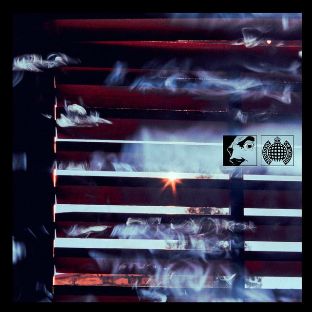 Image of When the Lights Are Out