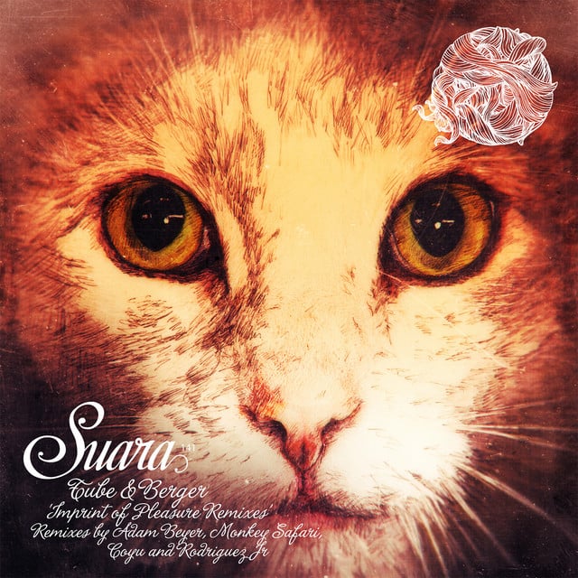 Image of Imprint of Pleasure Remixes