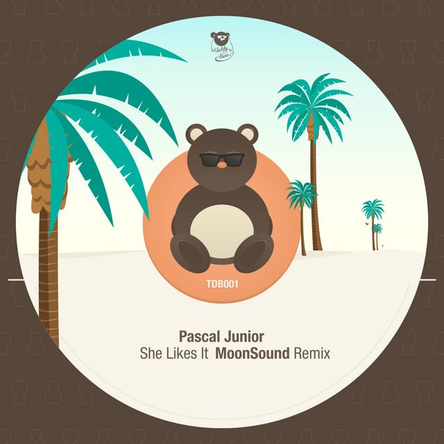 Image of She Likes It (MoonSound Remix)