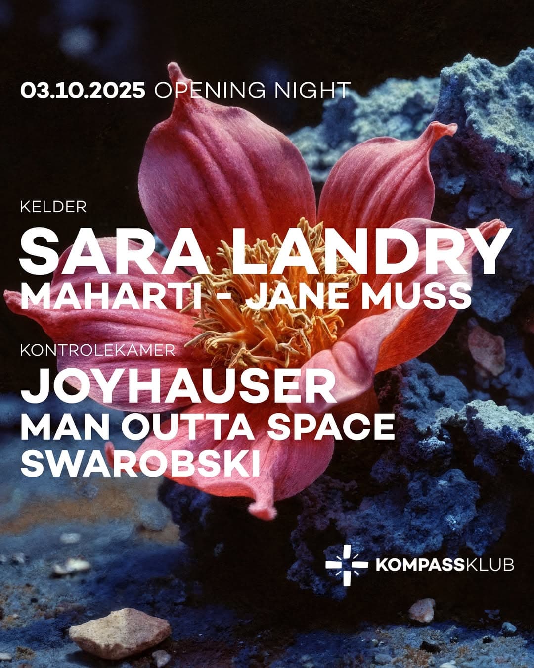 SARA LANDRY AT KOMPASS cover image