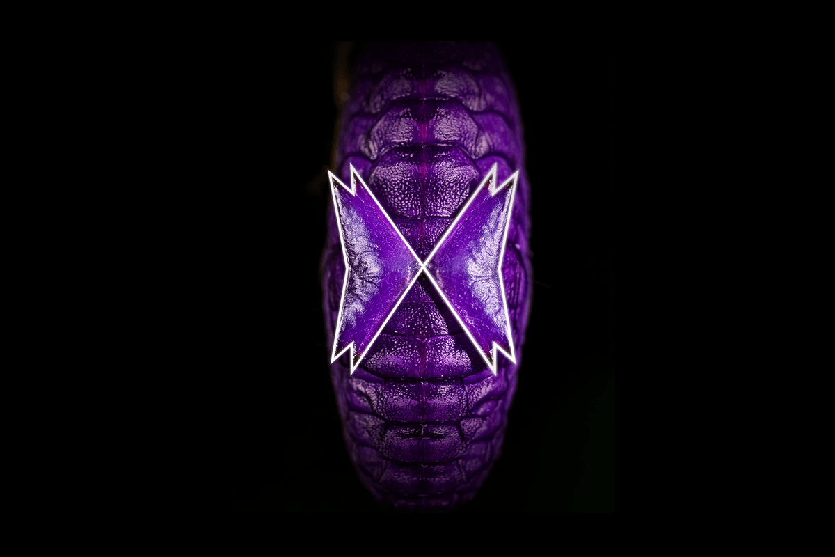 Joseph Capriati Presents Metamorfosi cover image
